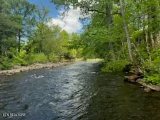 Riverview Rd, Townsend, TN 37882 - #1