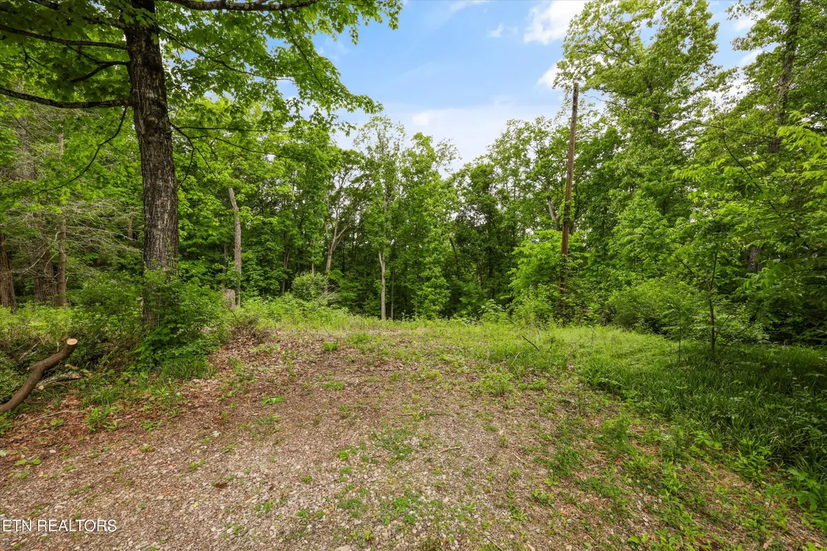 2915 Curtis Lane, Knoxville, TN 37918 - #1