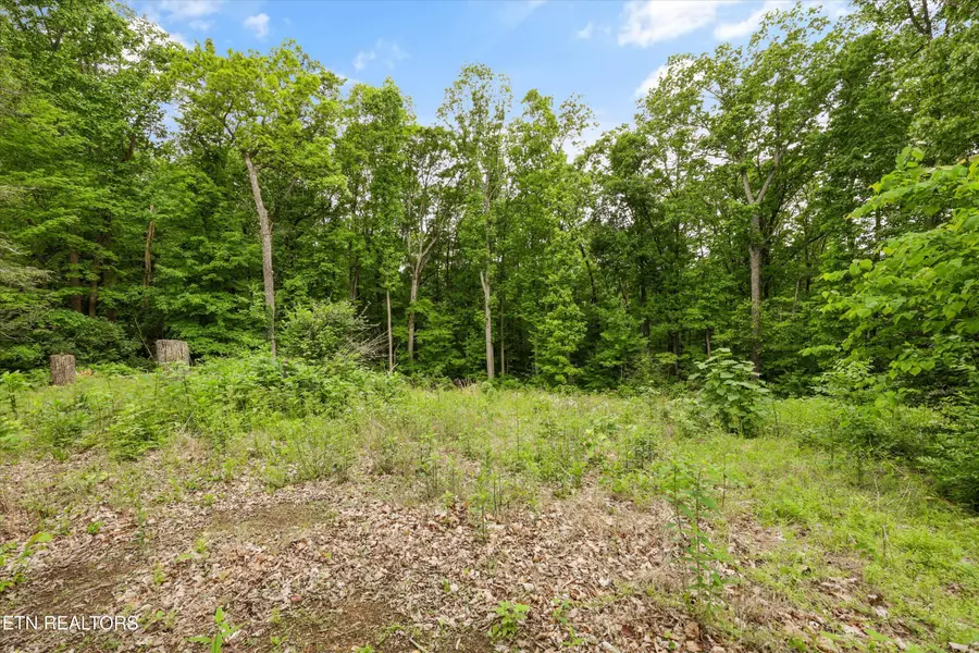 2915 Curtis Lane, Knoxville, TN 37918 - #3