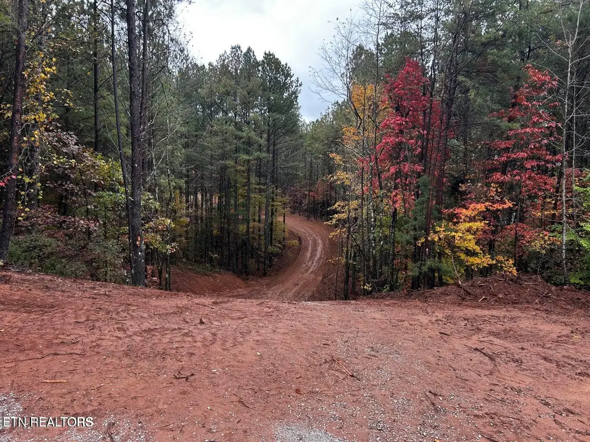 Ballplay Road Lot 30, Madisonville, TN 37354 - #1