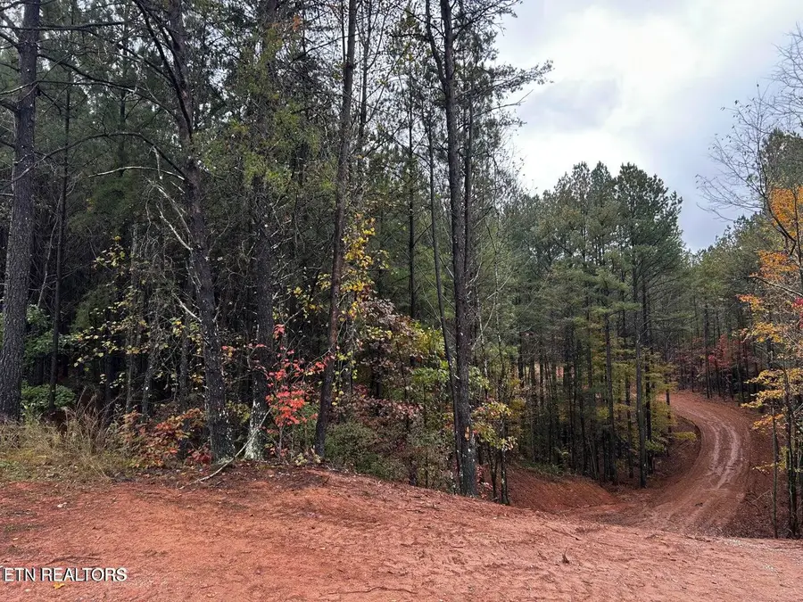 Ballplay Road Lot 30, Madisonville, TN 37354 - #2