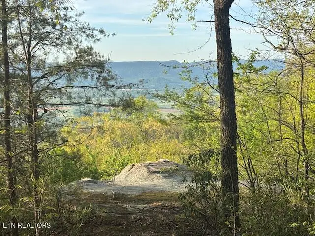 0 Gray Rock View, Pikeville, TN 37367 - #2