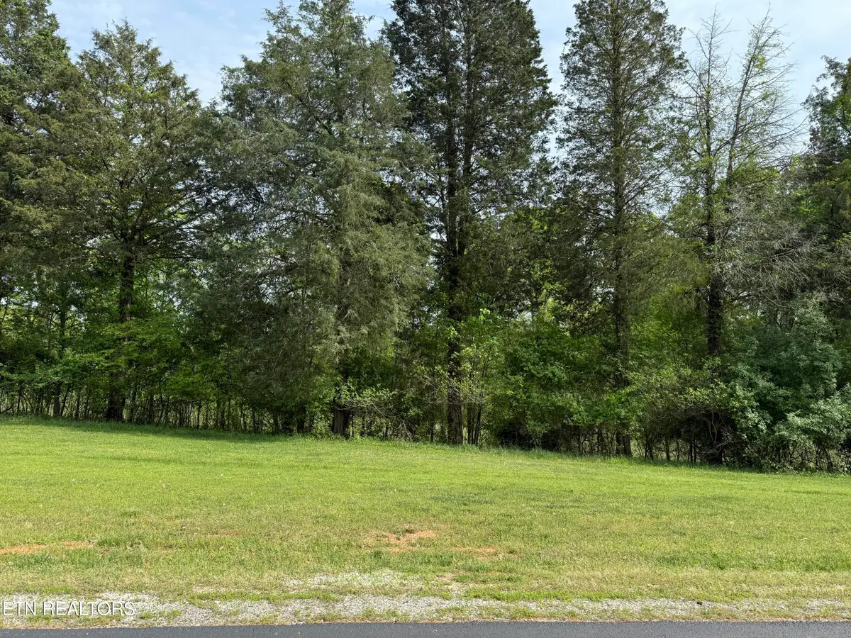 205 W Shore Drive, Rockwood, TN 37854 - #1