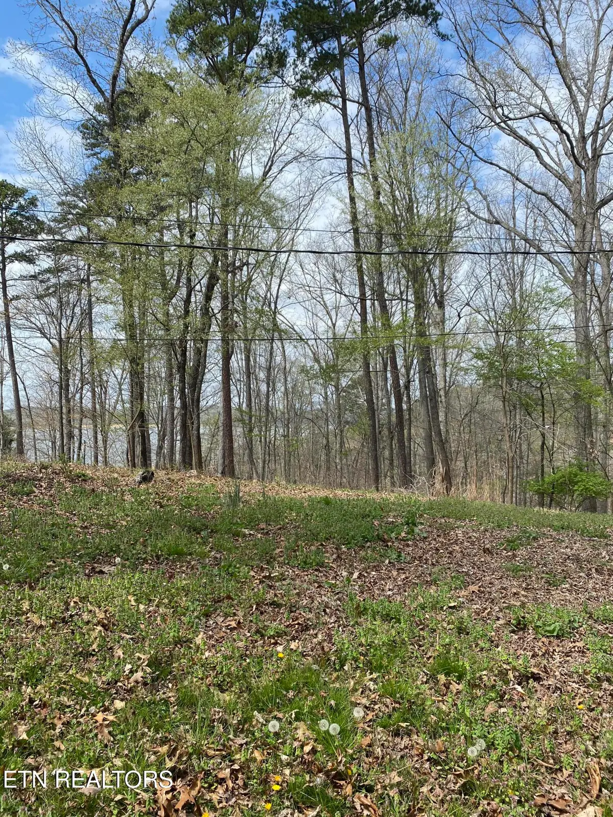 Lot 429 Mayflower Lane, Dandridge, TN 37725 - #1