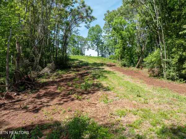 13389 Meadow Rd, Lenoir City, TN 37772