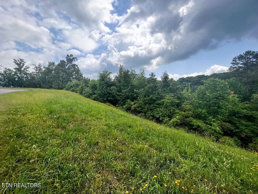 6213 Outlook Tr, Russellville, TN 37860 - #2