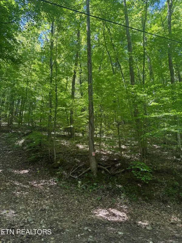 White Oak Lane, Caryville, TN 37714