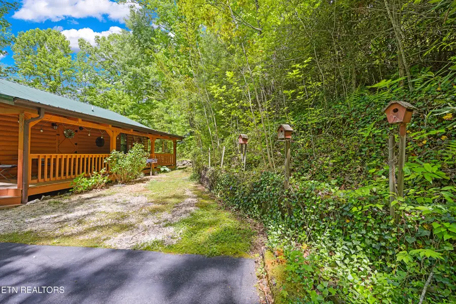 951 Emilyville Way, Cosby, TN 37722 - #3