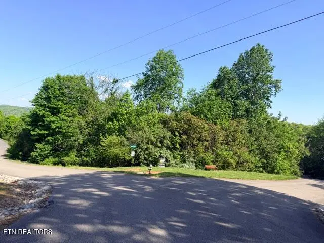 Shanghai Lake Lane, Lafollette, TN 37766 - #2