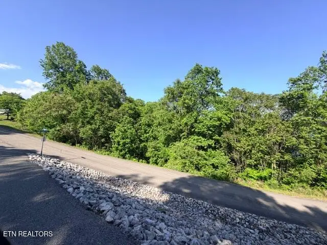Shanghai Lake Lane, Lafollette, TN 37766 - #3