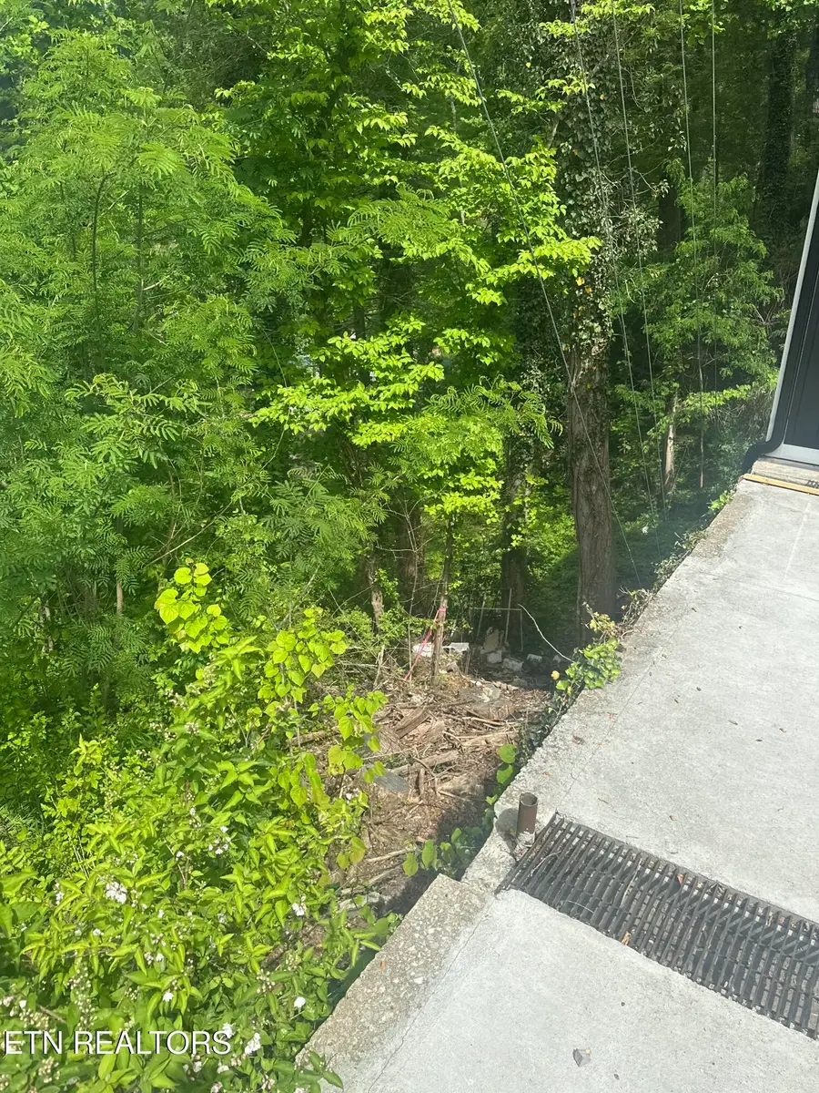 519 Cherokee Orchard Rd, Gatlinburg, TN 37738 - #3