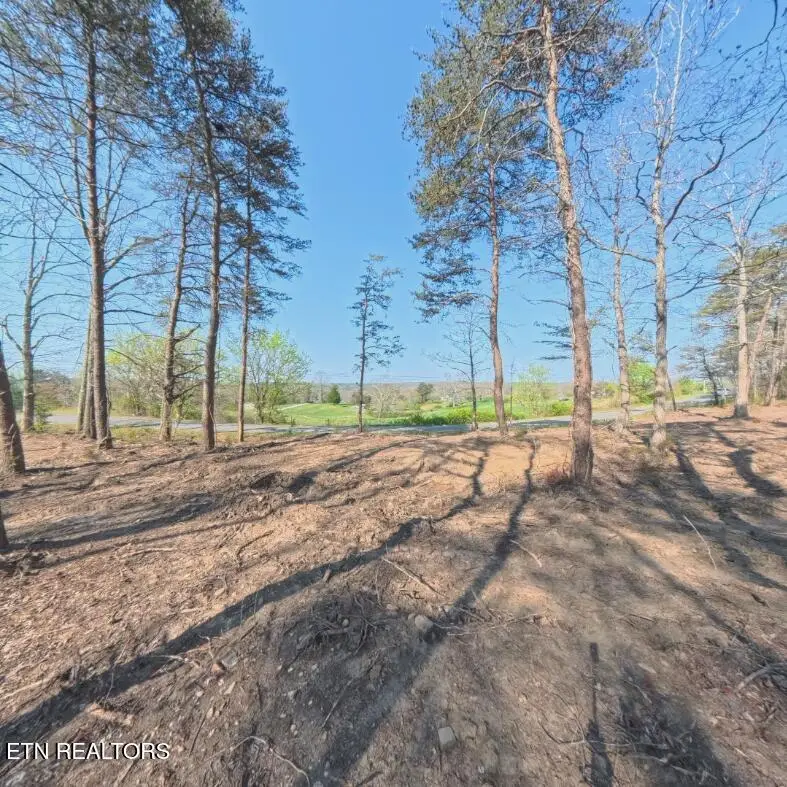 Claysville Rd #LOT 4, Crossville, TN 38571 - #2