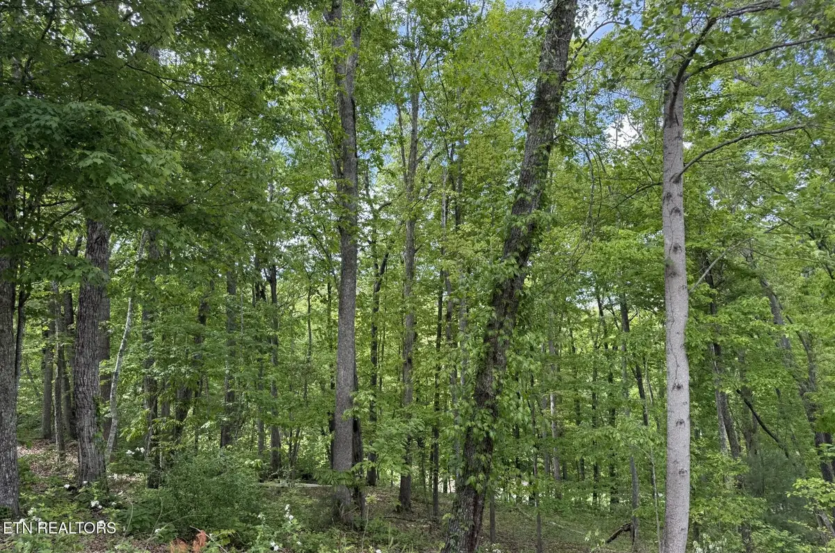 21 Claremont Circle, Crossville, TN 38558 - #1
