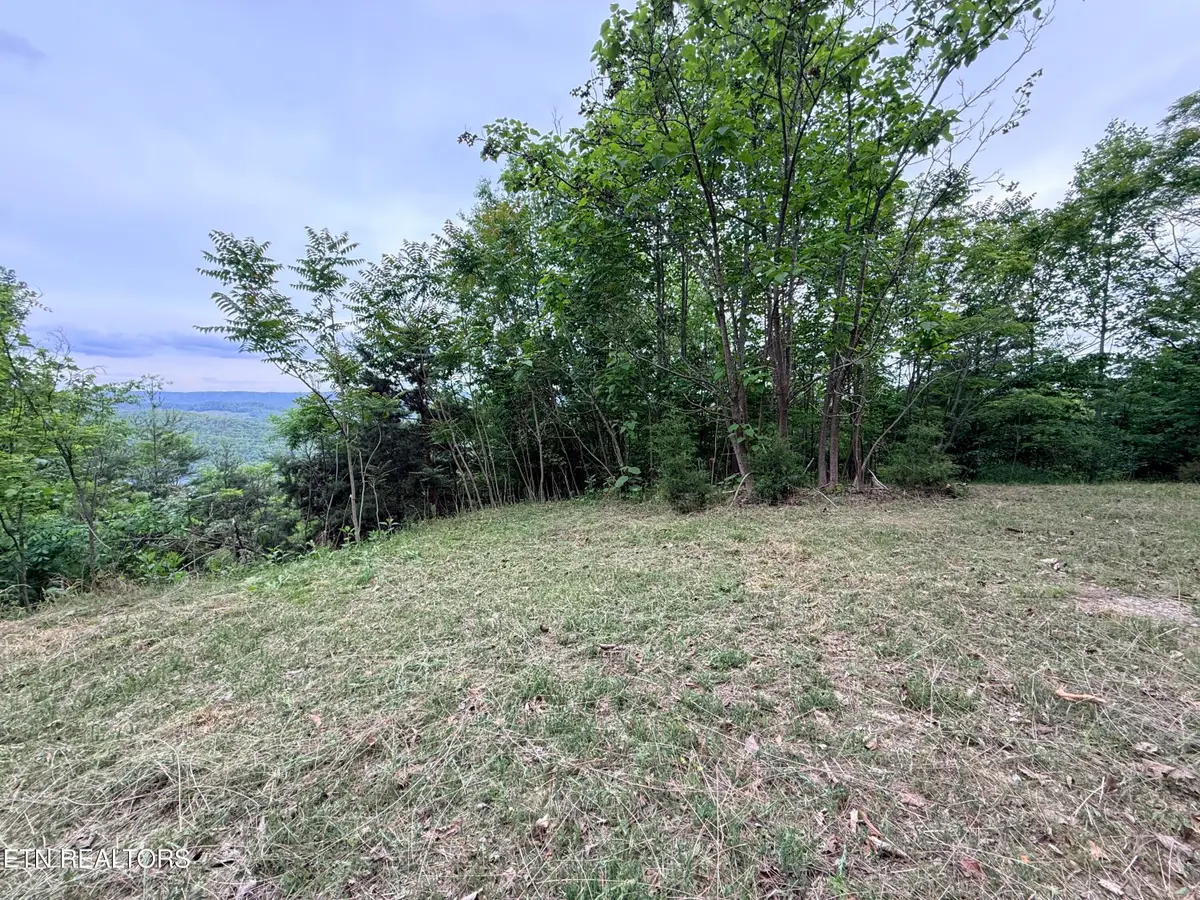 211 Blackstone Lane #Lot 681R, New Tazewell, TN 37825 - #1
