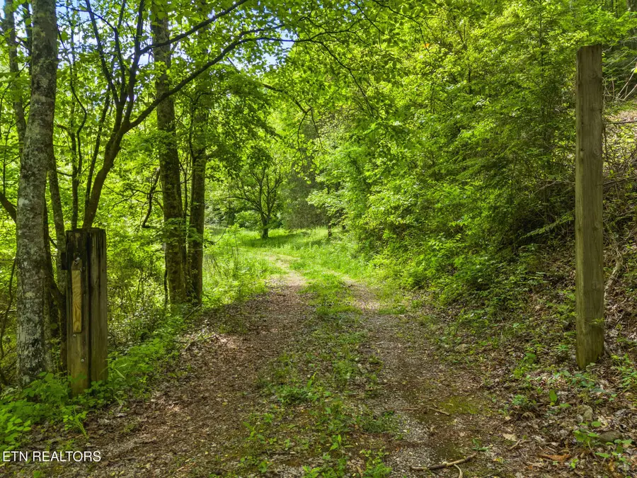 4304 Bruce Ogle Way, Pigeon Forge, TN 37863 - #3