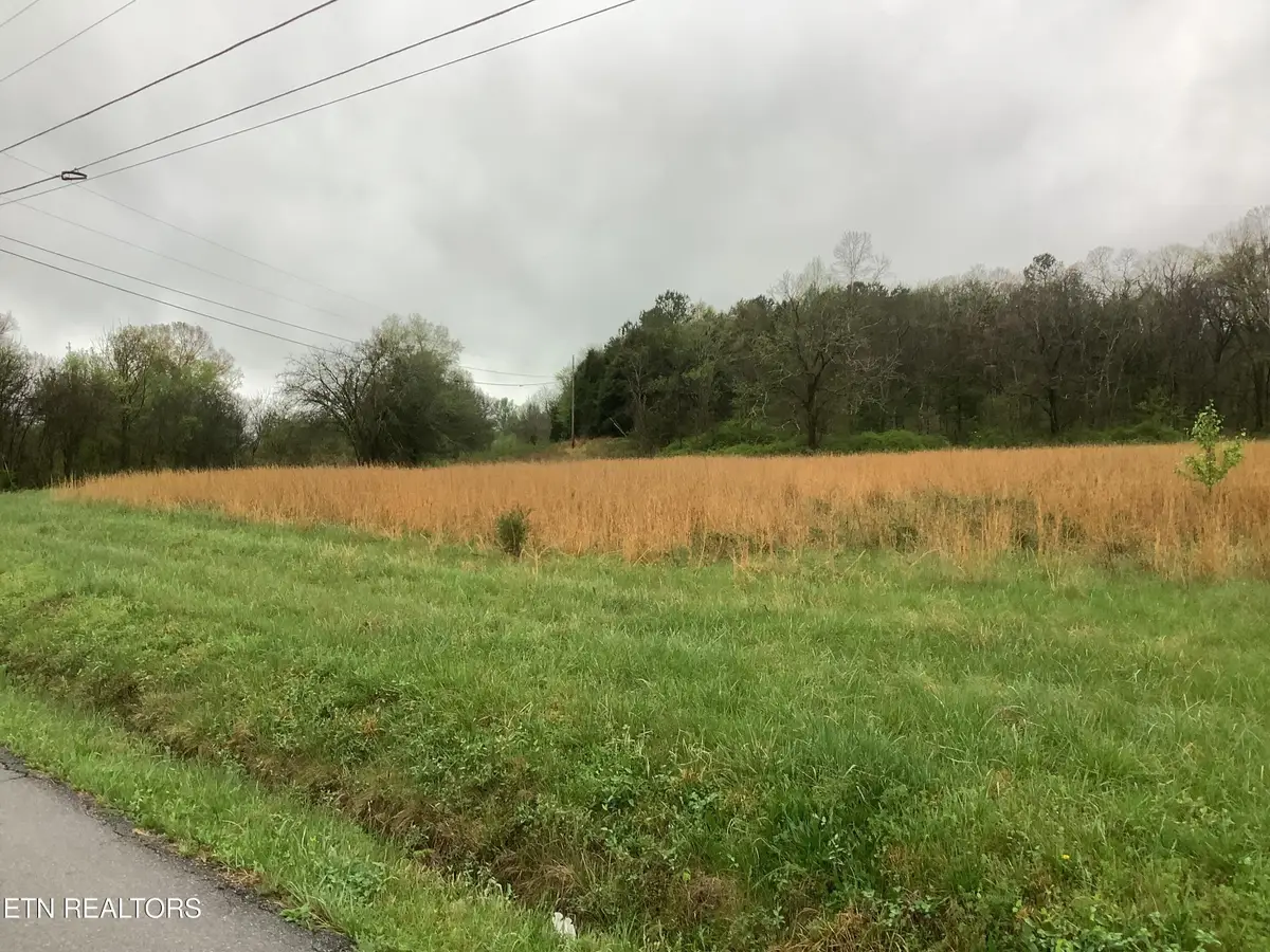 161 Woods Hollow Rd, Decatur, TN 37322 - #1