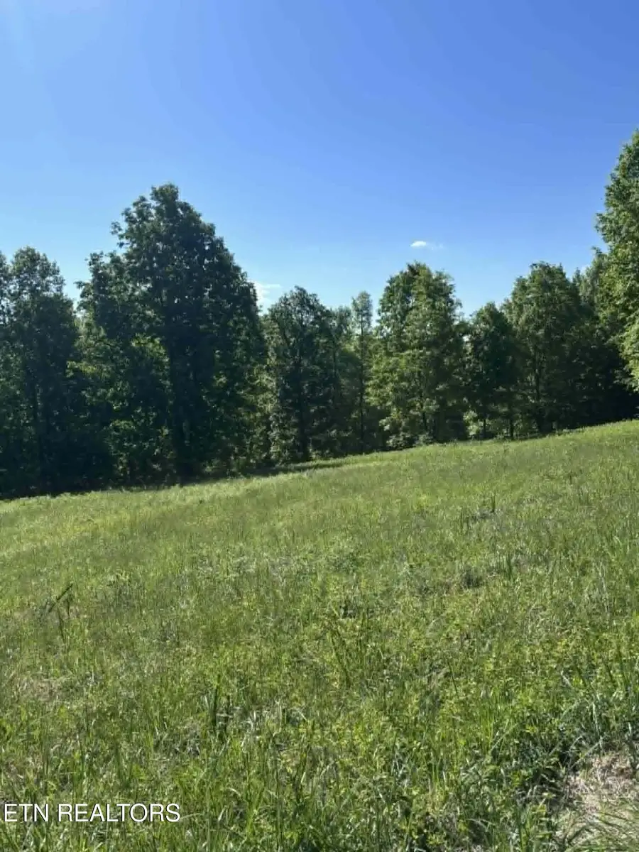 407 Earl Maples Lane, Tazewell, TN 37879 - #3