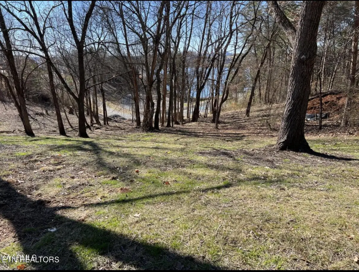 300 Southshore Drive, Greenback, TN 37742 - #1