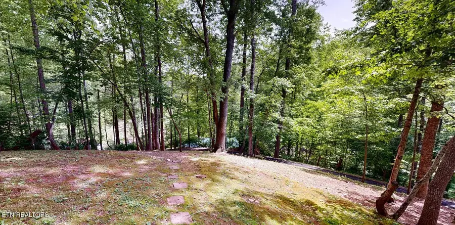 1709 Floyd Way, Gatlinburg, TN 37738 - #2