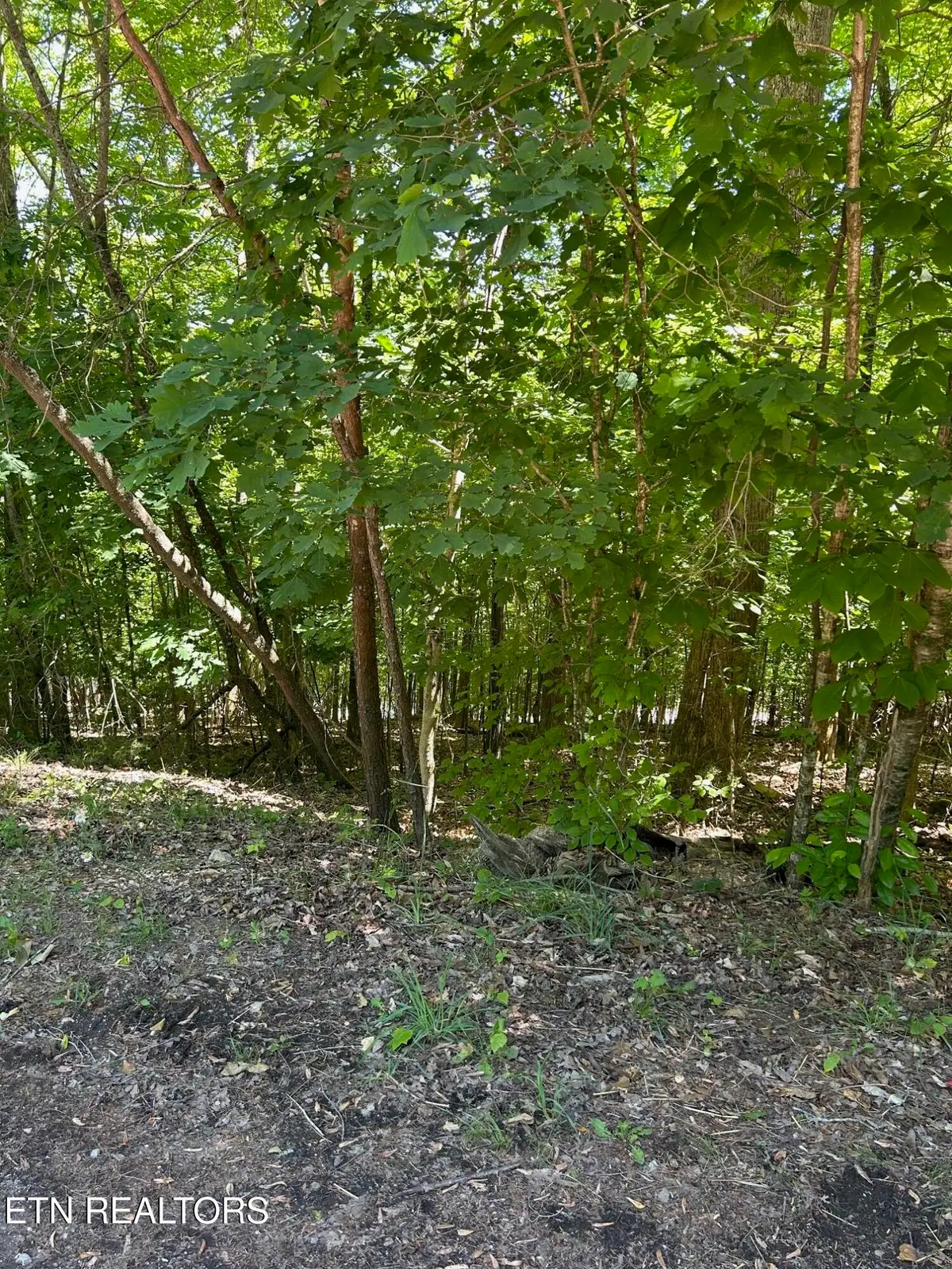 lot 63 Stoney Rock Lane, Jacksboro, TN 37757 - #1