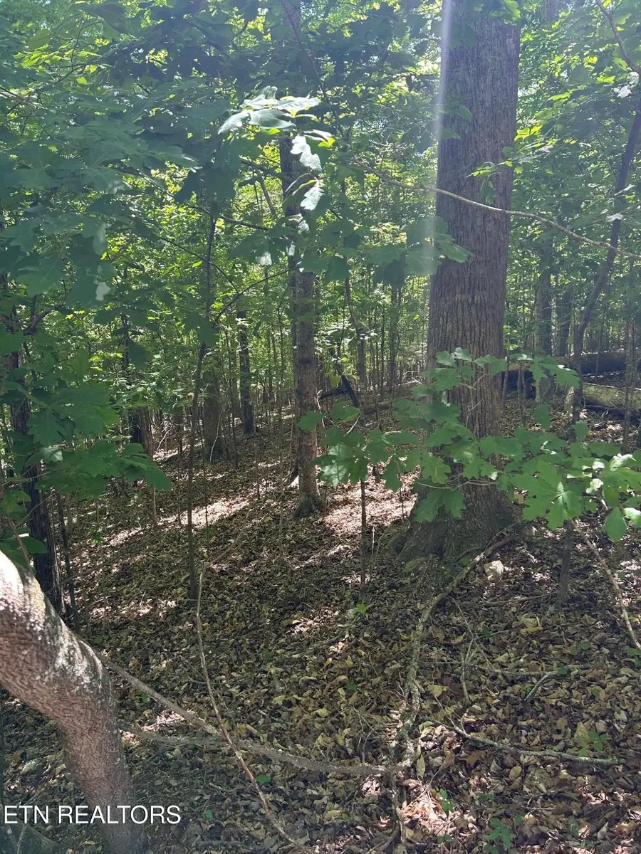 lot 63 Stoney Rock Lane, Jacksboro, TN 37757 - #3