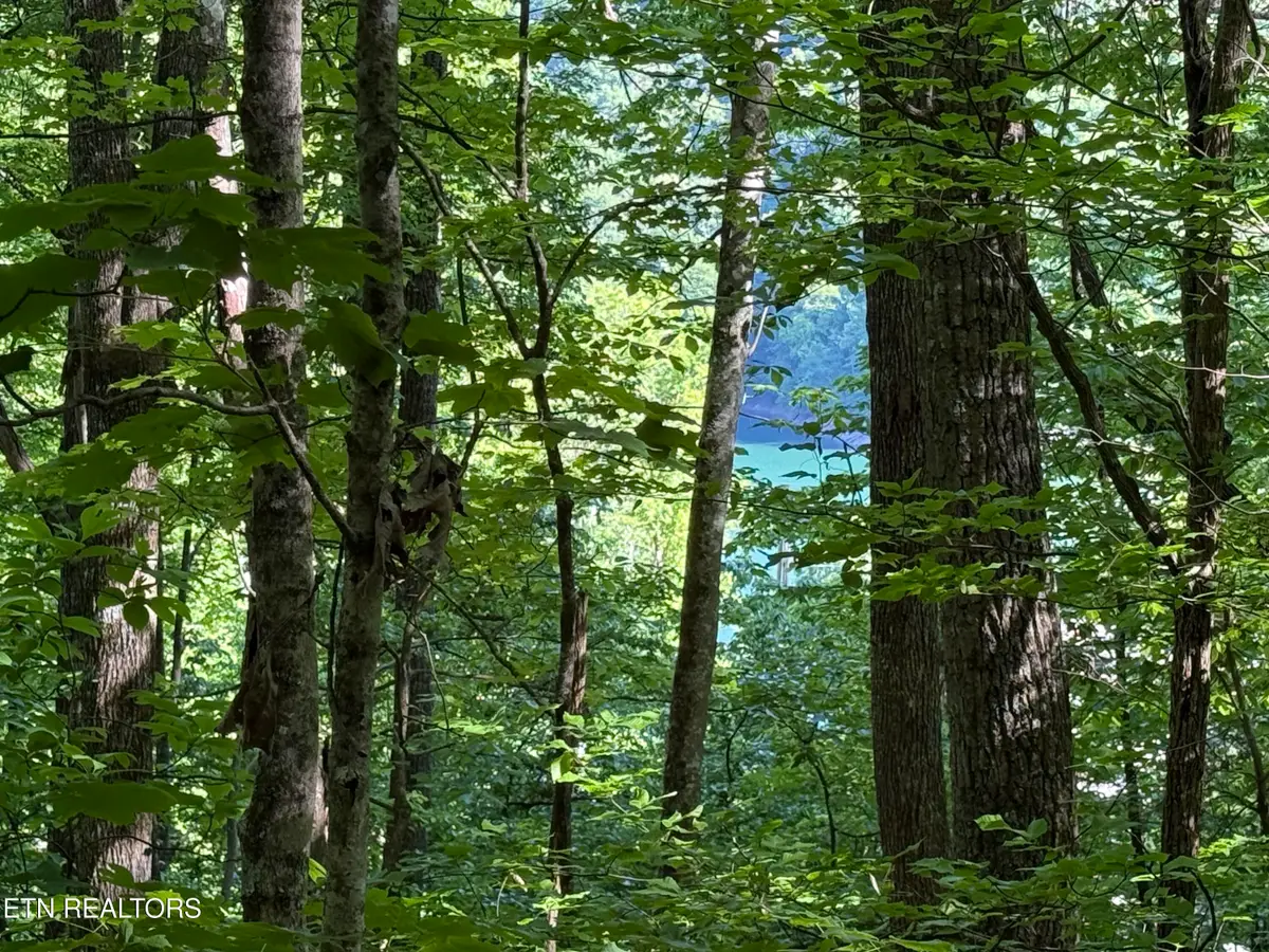 Lot 74, Norris Shores Drive, Sharps Chapel, TN 37866 - #1