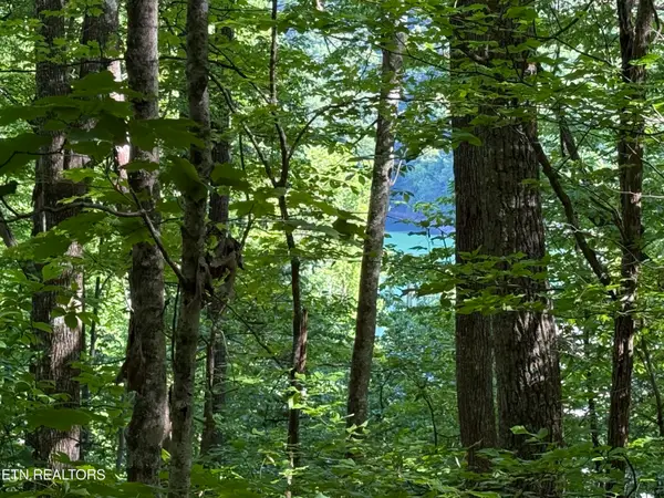 Lot 74, Norris Shores Drive, Sharps Chapel, TN 37866