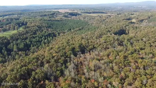 42+- Acres Dogwood Rd, Grandview, TN 37337