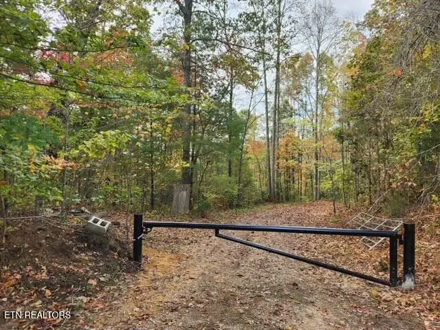 42+- Acres Dogwood Rd, Grandview, TN 37337 - #3