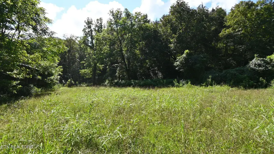 3665 Fisher Valley Rd, Kyles Ford, TN 37765 - #3