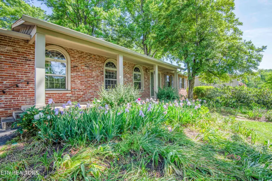 9317 Sarasota Drive, Knoxville, TN 37923 - #3