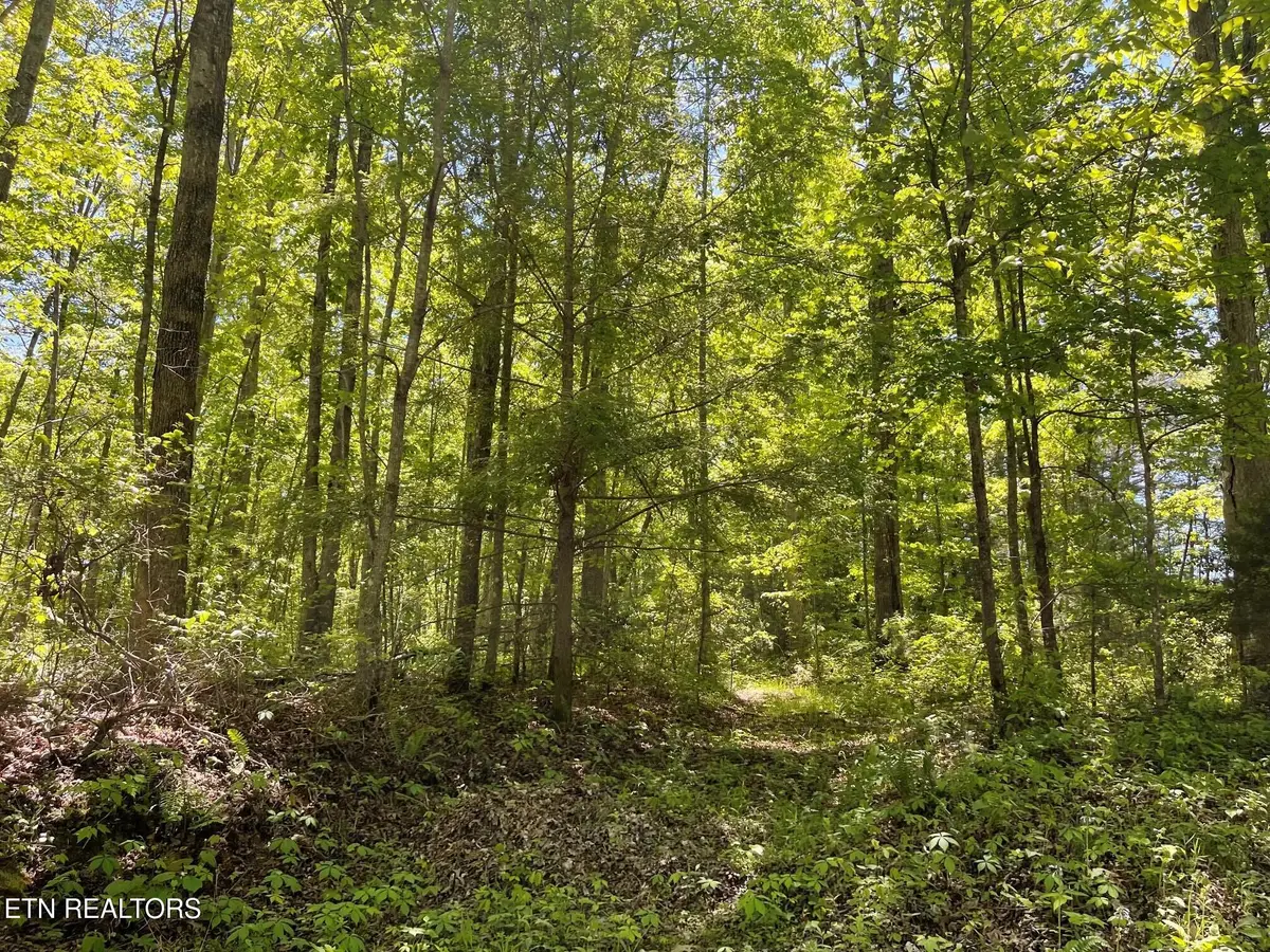 Rob Watson Rd, Oneida, TN 37841 - #1