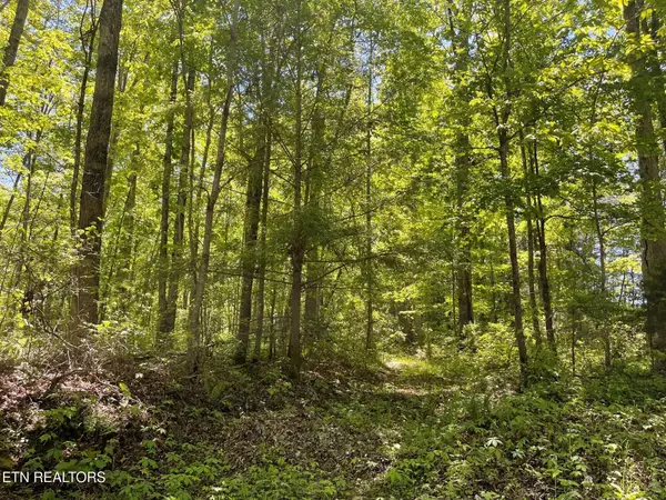 Rob Watson Rd, Oneida, TN 37841