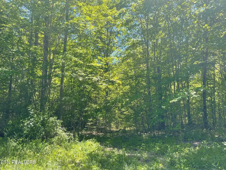Rob Watson Rd, Oneida, TN 37841 - #2