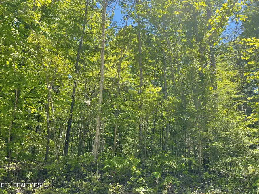 Rob Watson Rd, Oneida, TN 37841 - #3