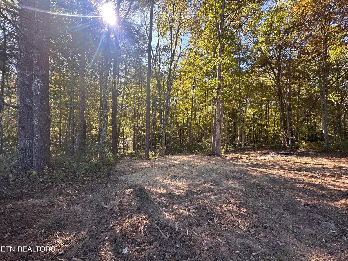18.6 Ac Cave Branch Rd, Allardt, TN 38504 - #1