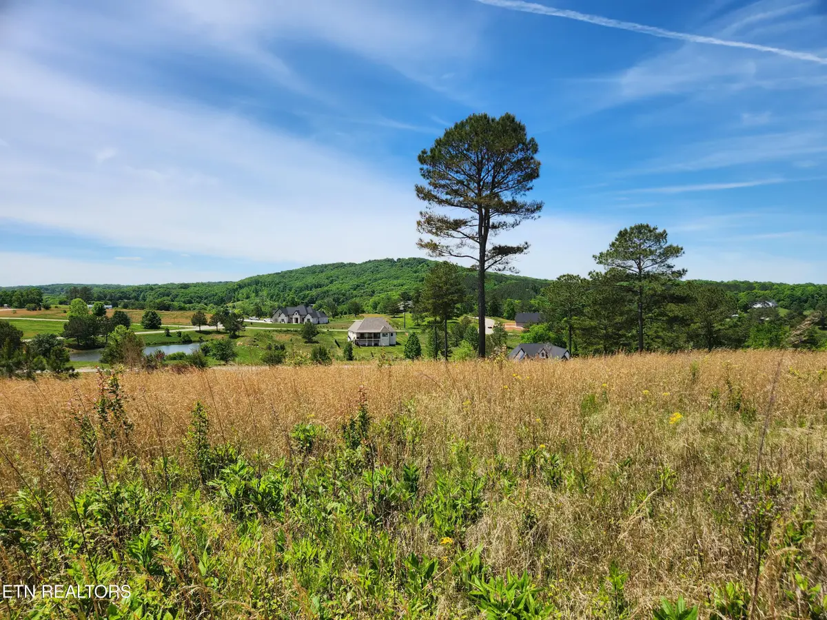 Oak Leaf Lot 71 Drive, Loudon, TN 37774 - #1