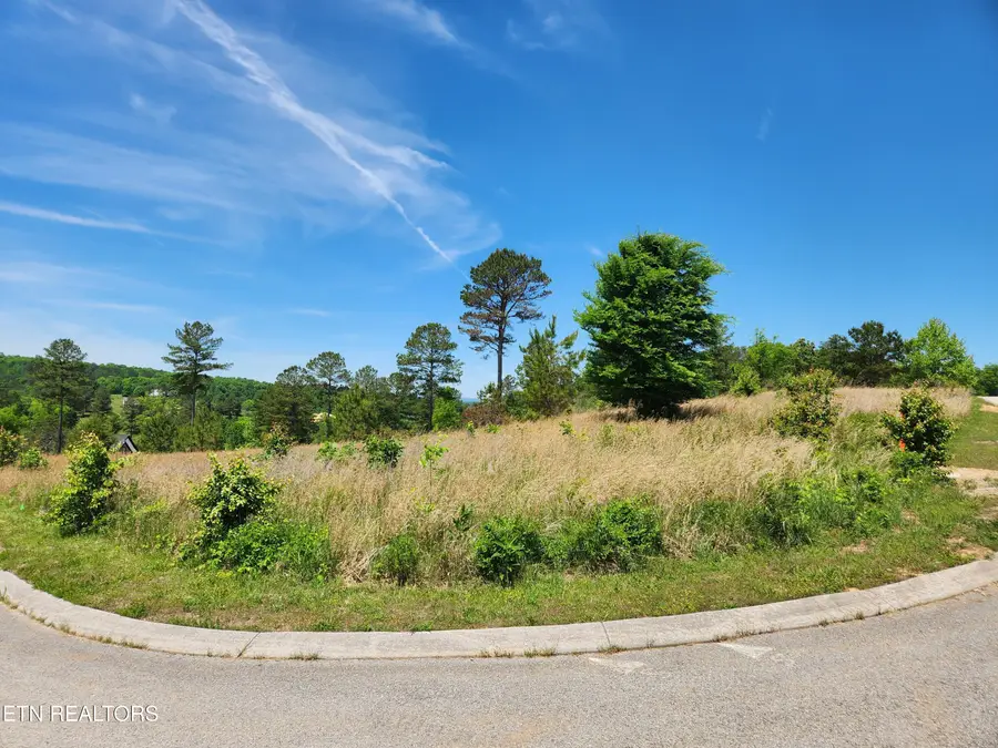 Oak Leaf Lot 71 Drive, Loudon, TN 37774 - #2