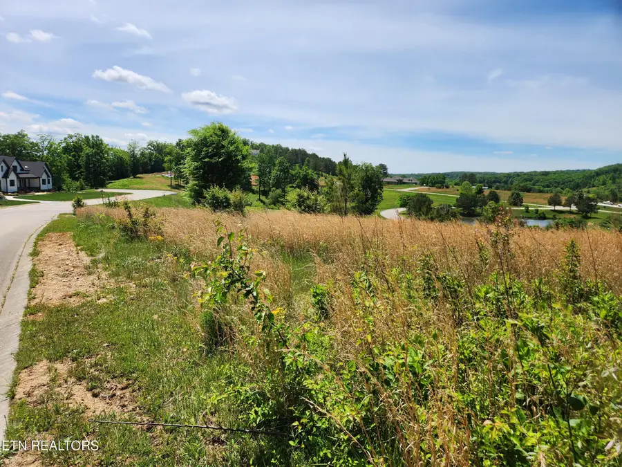 Oak Leaf Lot 71 Drive, Loudon, TN 37774 - #3