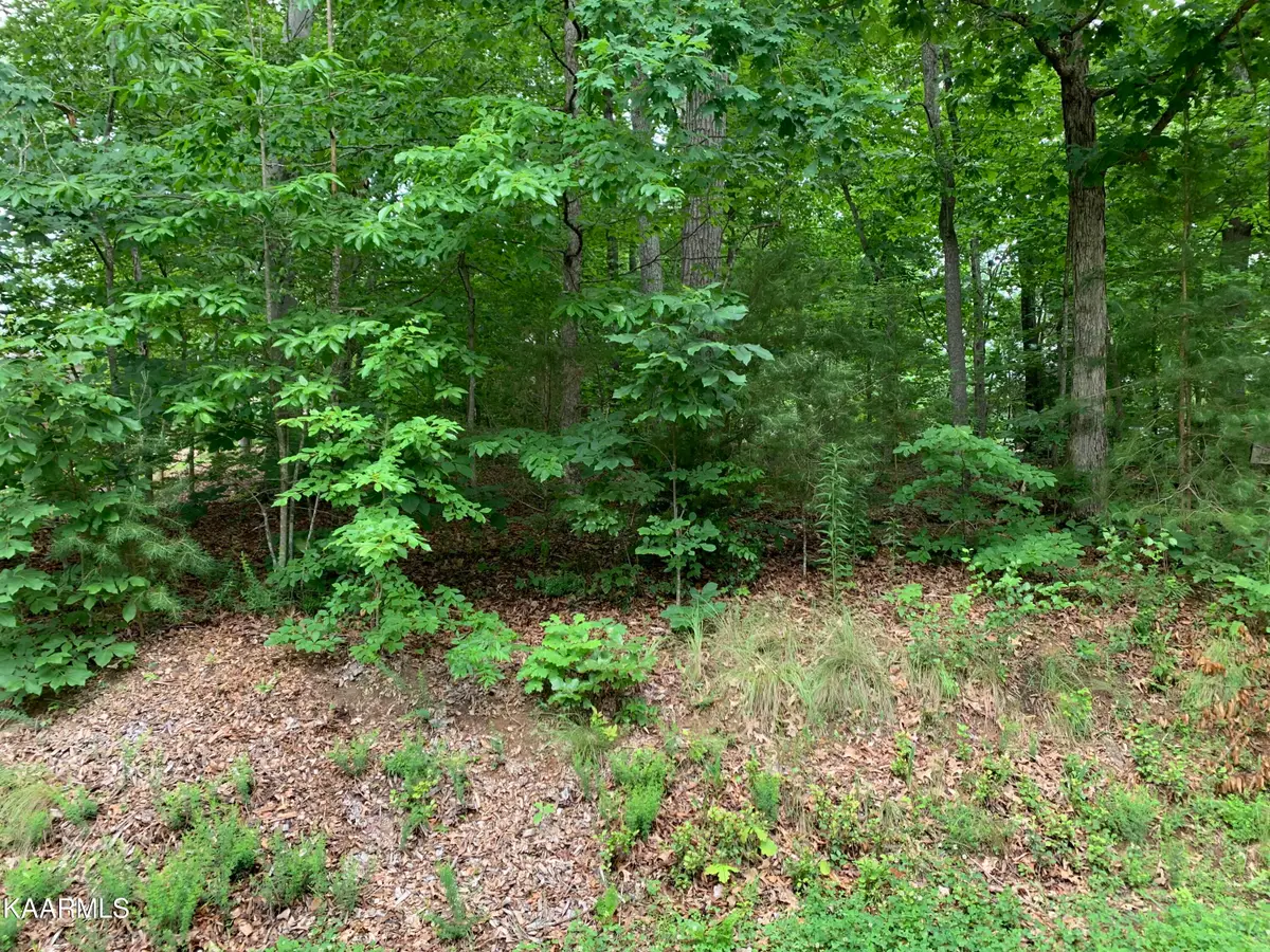 314 Ootsima Lane, Loudon, TN 37774 - #1