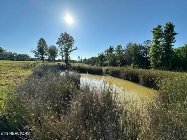 Lot 7 Curtis Rd, Tellico Plains, TN 37385