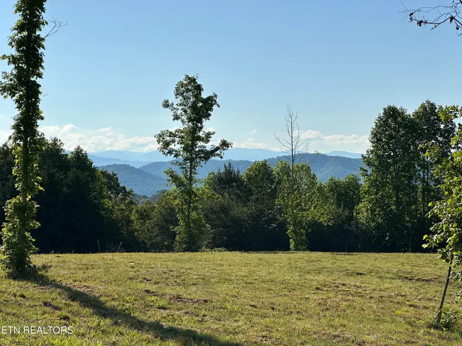 Lot 7 Curtis Rd, Tellico Plains, TN 37385 - #3