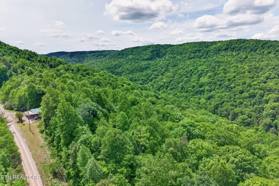 W Bobcat Lane Lane, Wilder, TN 38589 - #2