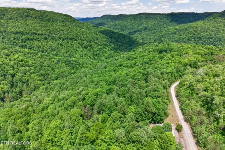 W Bobcat Lane Lane, Wilder, TN 38589 - #3