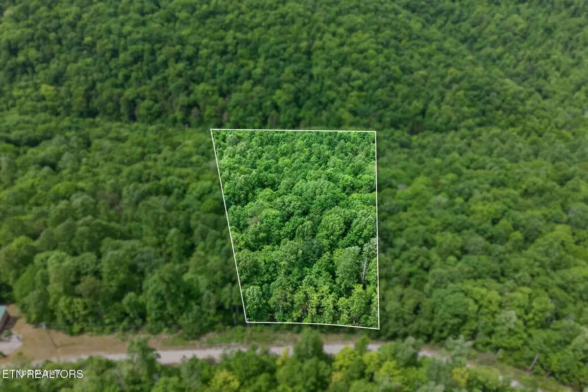 W Bobcat Lane, Wilder, TN 38589 - #1