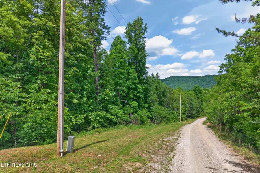 W Bobcat Lane, Wilder, TN 38589 - #2