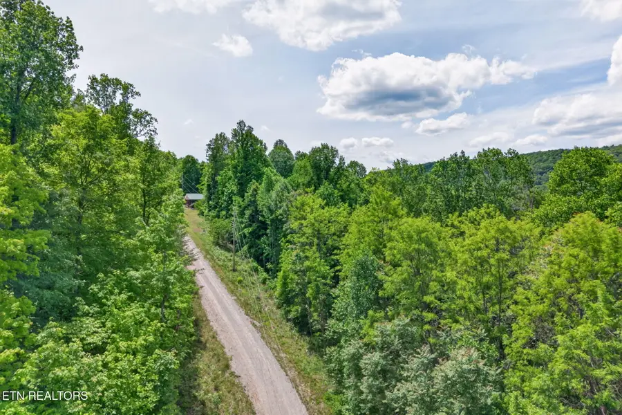 W Bobcat Lane, Wilder, TN 38589 - #3