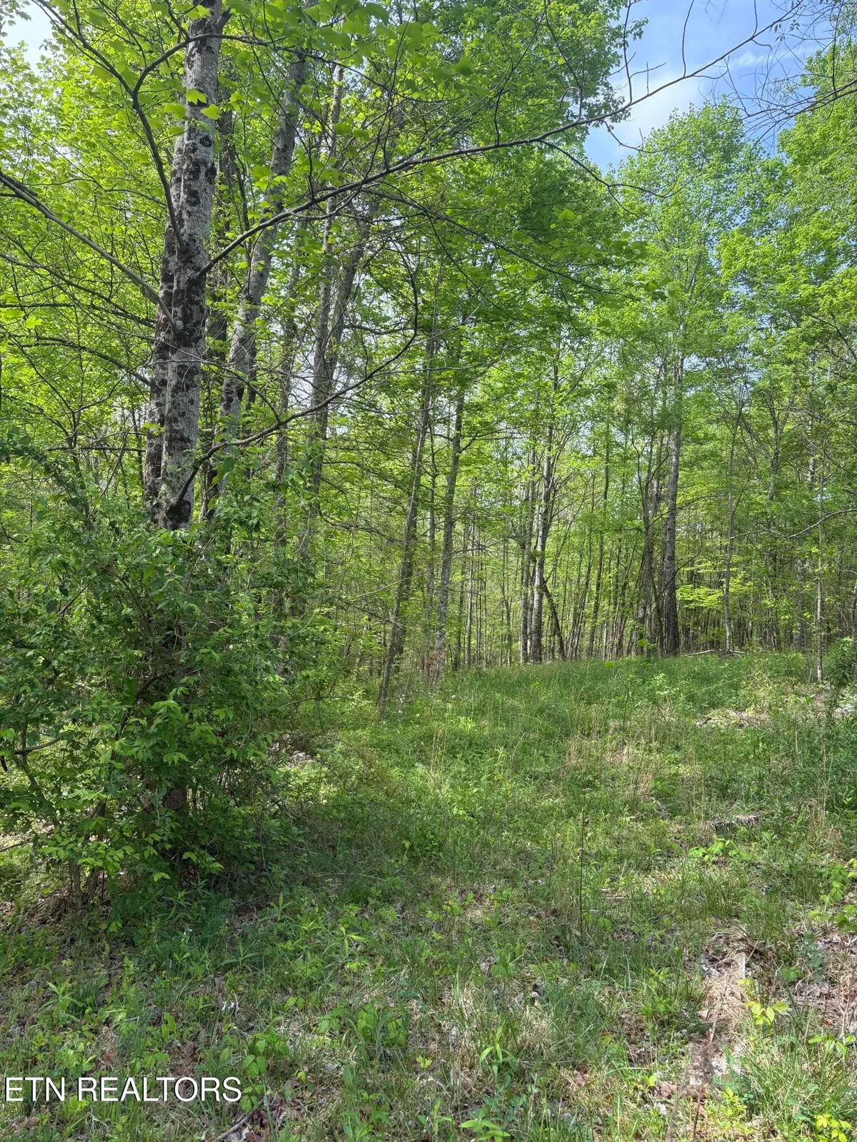 157 Casteel Rd, Sparta, TN 38583 - #1