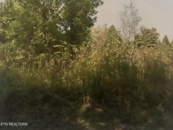 141 Amohi Way, Loudon, TN 37774