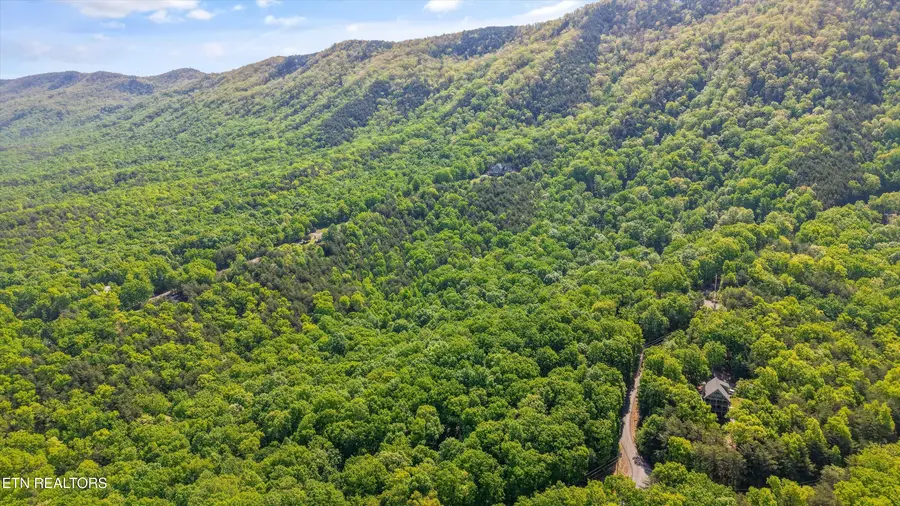 Tract 77 Chilhowee Tr, Maryville, TN 37803 - #3